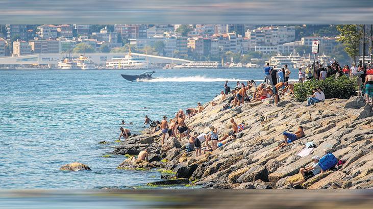 Arabistan sicagi geliyor 3YGgIy8s